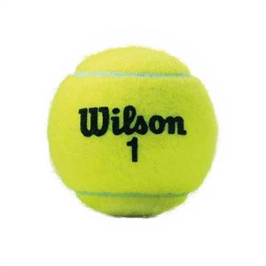 Tubo Pelotas Tenis Wilson Championship Extra Duty X 3
