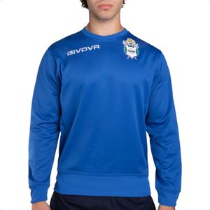 Buzo Givova Gimnasia Esgrima La Plata Training Frisa Azl