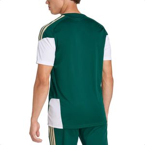 Camiseta Adidas Italia 2026 Entrenamiento